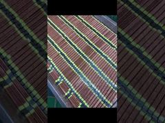 Đèn sấy UV cường độ cao OEM, tuổi thọ 20000 giờ cho máy in phun​